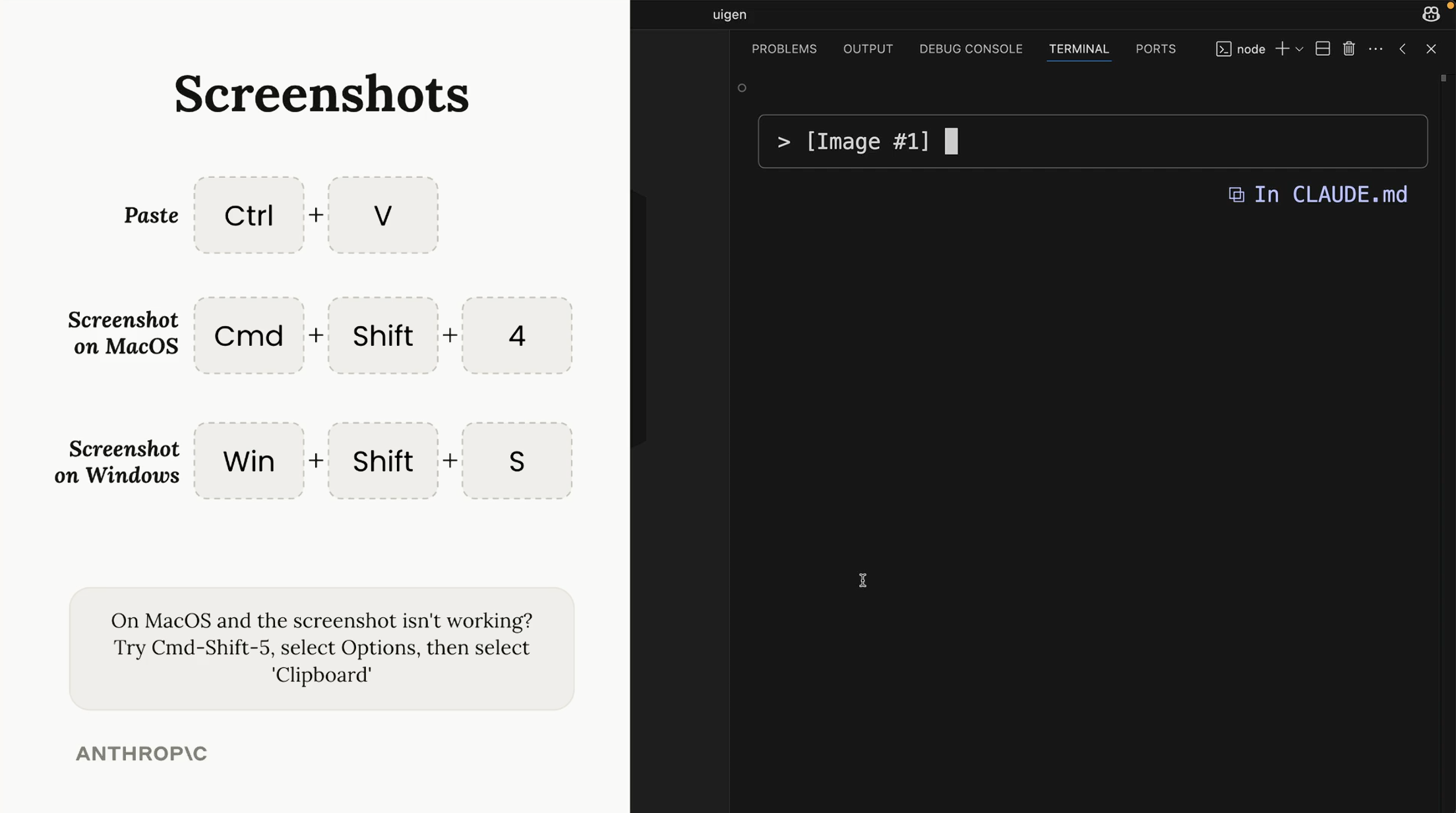 Screenshot shortcuts